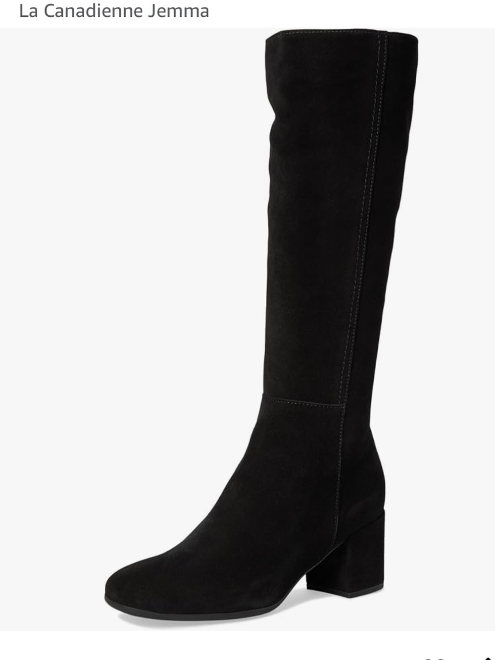 La CANADIENNE 
Jason City Dry™ Suede Tall
Boots Black size 9.5 gently used